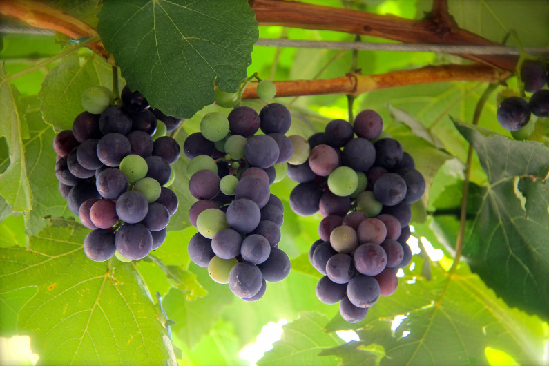 lightstock 253536 full bryan craig